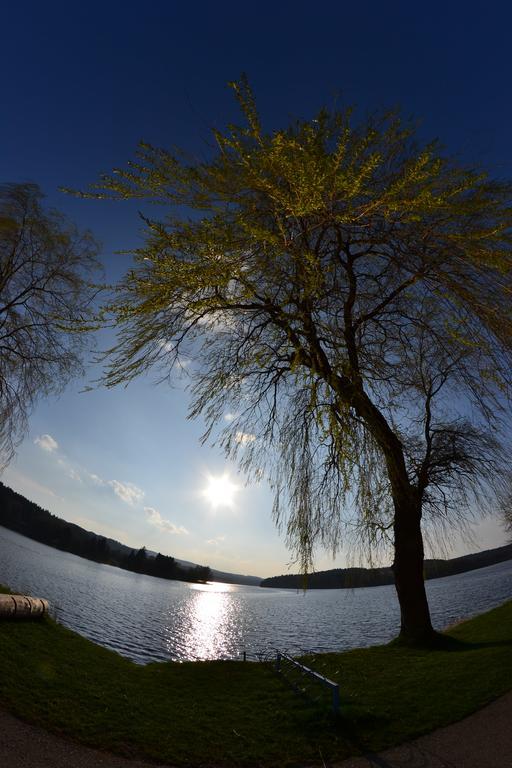 Apartmány U Jezera Na Náměstí Frymburk Exterior foto